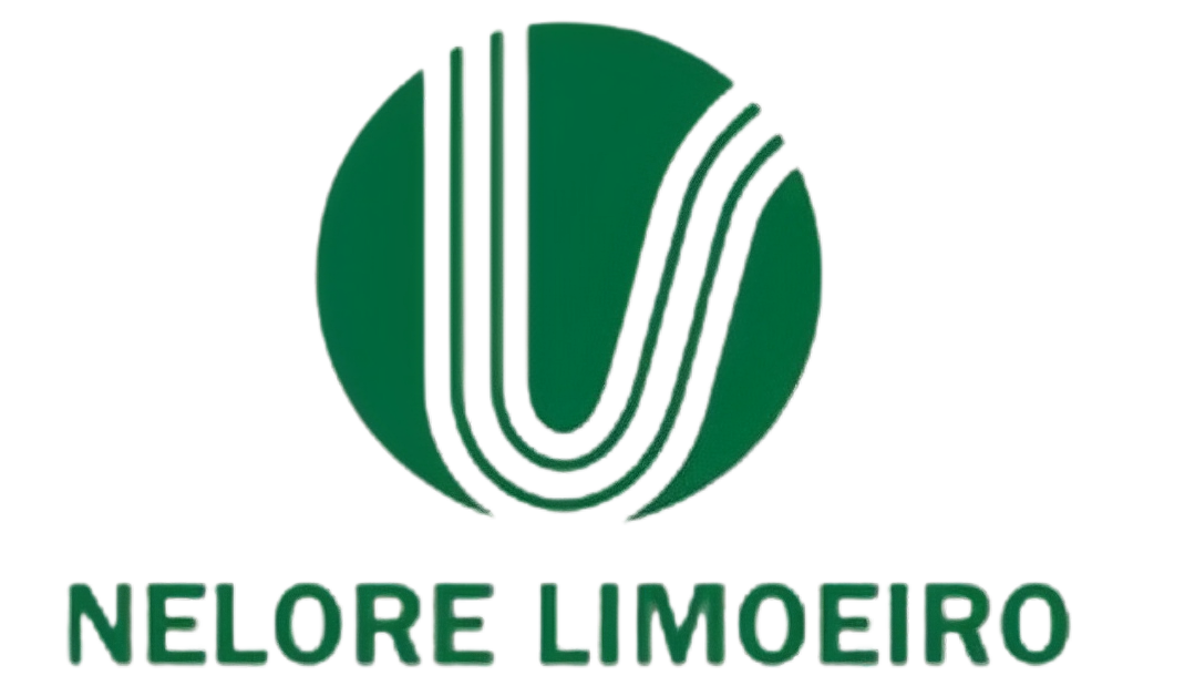 Nelore Limoeiro